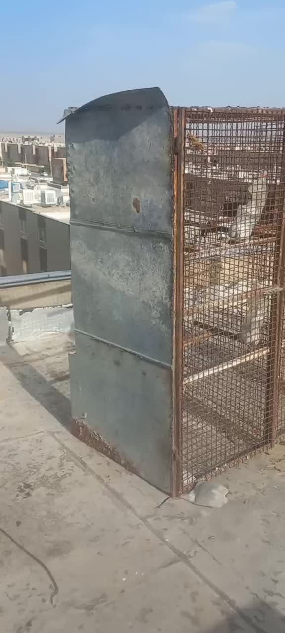 جفتگاه کفتر|لوازم جانبی حیوانات|بیرجند, |دیوار