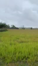 فروش‌ویلای‌مدرن ۲۲۰متری،تاپ لوکیشن،۵دقیقه‌ ساحل|فروش خانه و ویلا|رشت, گلسار|دیوار