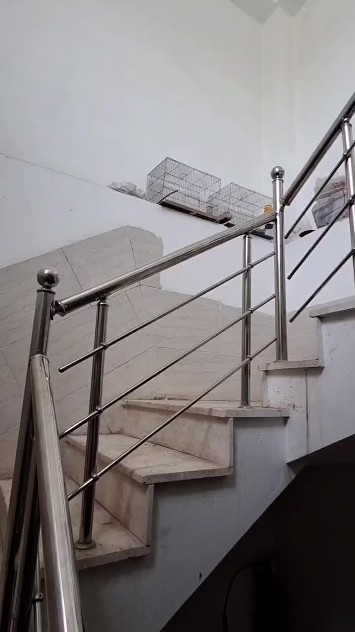 کبوتر ماده|پرنده|شیراز, گلکوب|دیوار