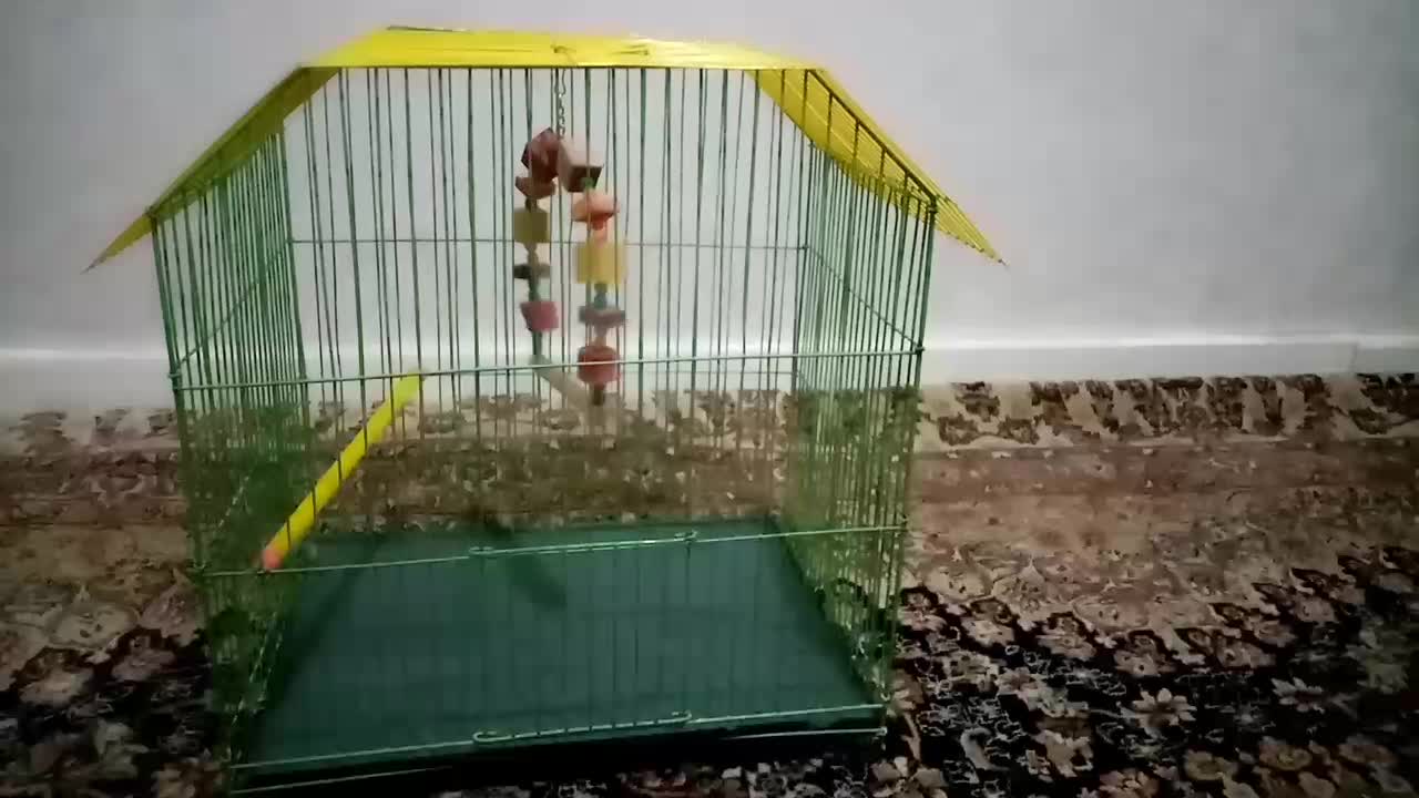 قفس پرنده نو|لوازم جانبی حیوانات|پاکدشت, پاکدشت (مامازند)|دیوار