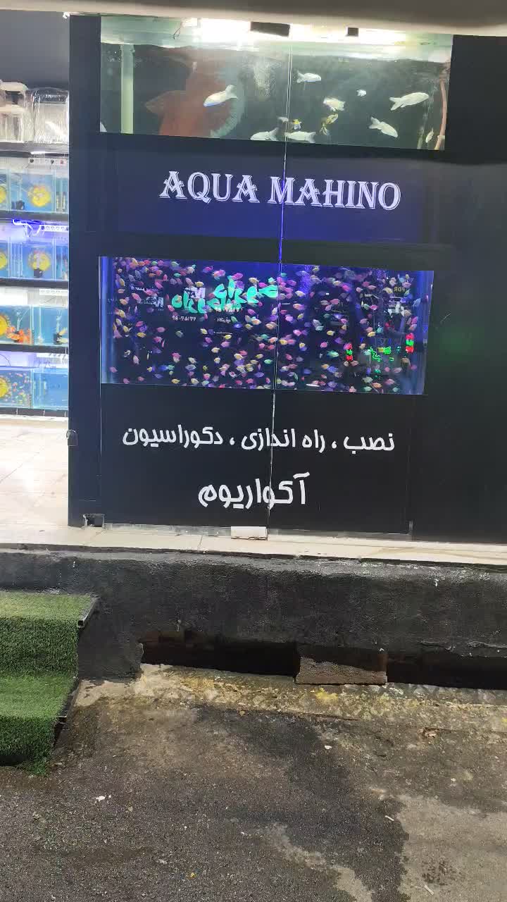 فروشنده تمام وقت مغازه اکواریومی خانم و اقا|استخدام خدمات فروشگاه و رستوران|تهران, استقلال|دیوار