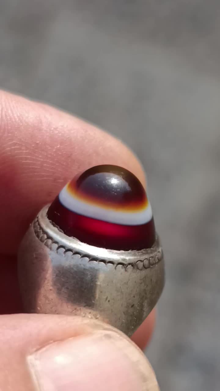 سه پوستهای باباقوری بقرانی|کلکسیون اشیاء عتیقه|بندر ماهشهر, |دیوار