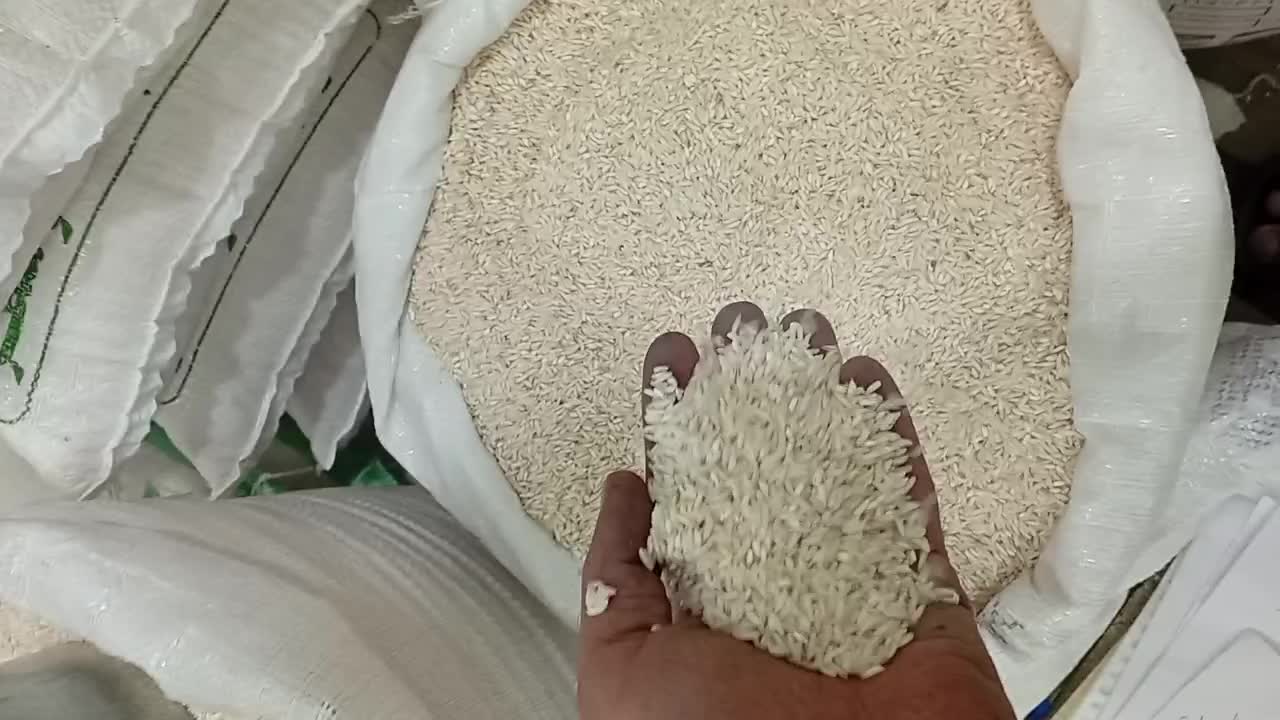 برنج فجر سوزنی .لاشه درجه یک گلستان - خرید عمده|حراج|گرگان, |دیوار