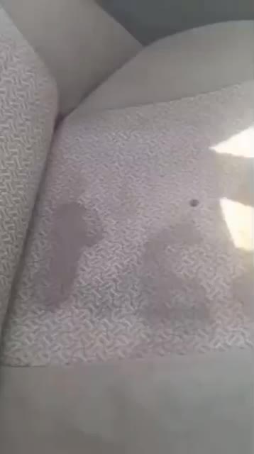 اسپری مبل وفرش وما‌شین|مواد شوینده و دستمال کاغذی|دوگنبدان, |دیوار