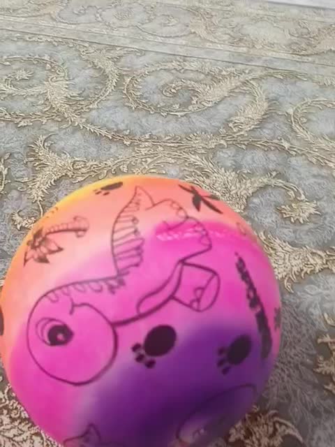 توپ خانگی|ورزش‌های توپی|پاوه, |دیوار