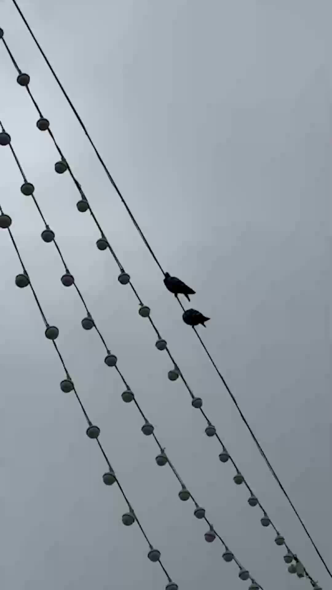 عکاسی حرم ، عکاسی بارداری ، عکاسی شب یلدا|خدمات پذیرایی، مراسم|مشهد, چهارچشمه|دیوار