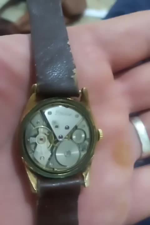 ساعتکوکی سویس میکرون دار عتیقه|کلکسیون اشیاء عتیقه|تهران, شهر زیبا|دیوار