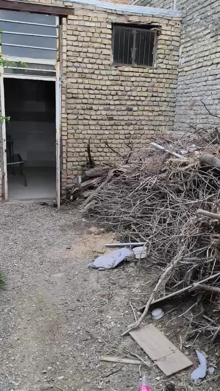 اجاره نانوایی پخت ازاد|اجارهٔ مغازه و غرفه|تربت‌حیدریه, ده پائین|دیوار