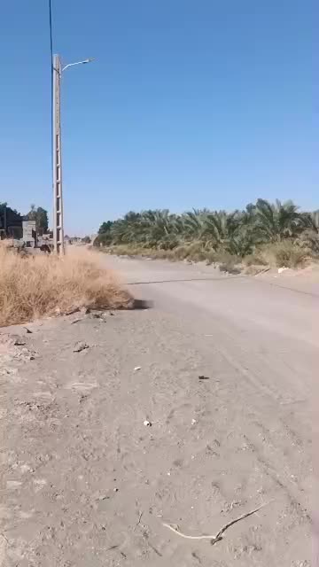 زمین  سکهور|فروش زمین و ملک کلنگی|نگین کویر, |دیوار