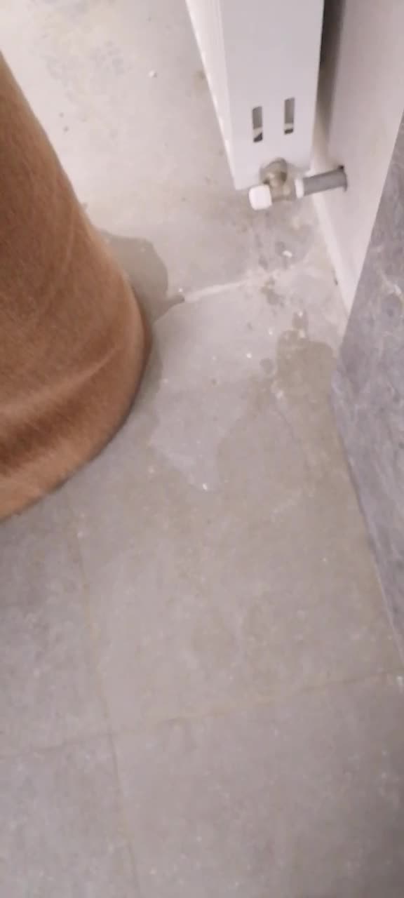 کفسابی و سنگ سابی، ساب نظافتی|خدمات نظافت|قم, زنبیل آباد|دیوار