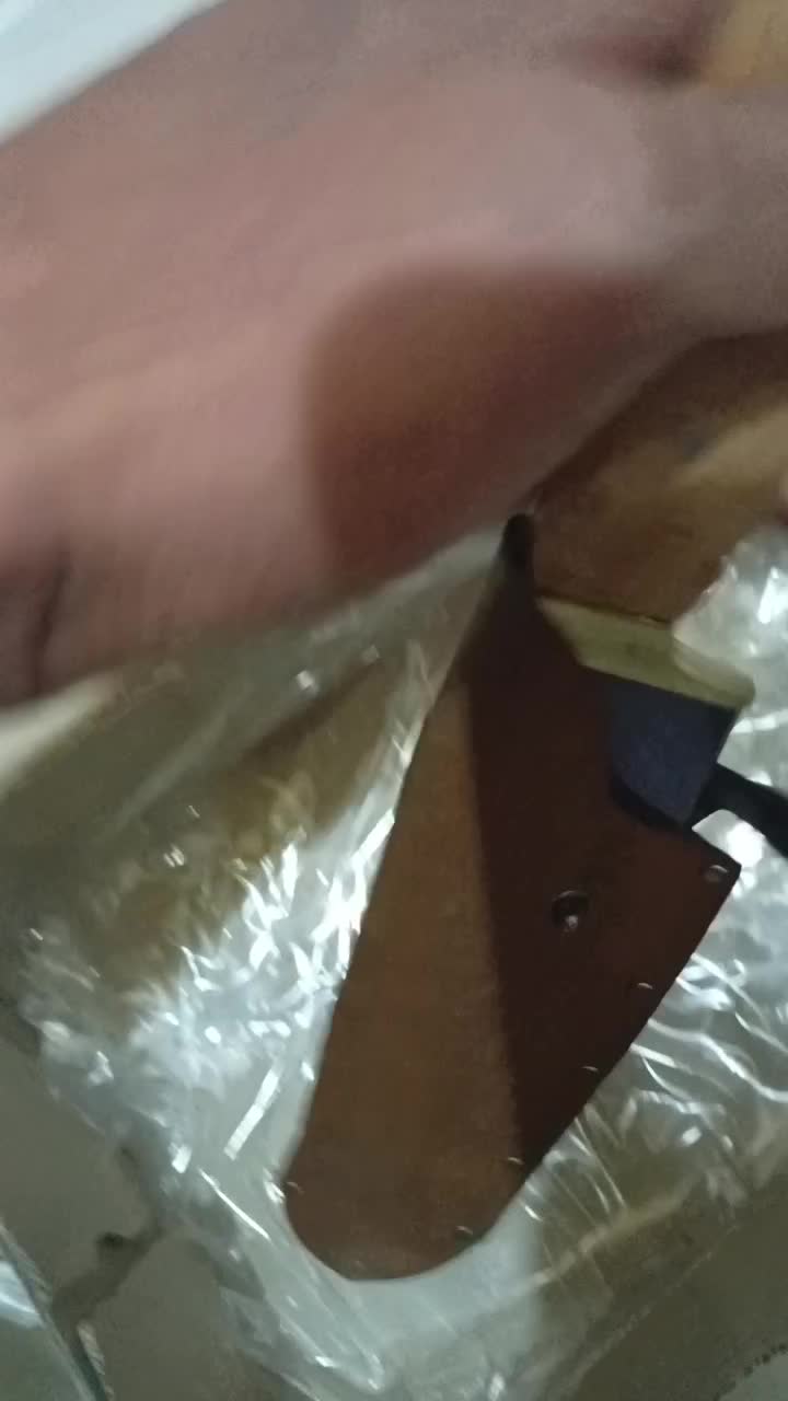 کبوتر|کلکسیون و سرگرمی|ایذه, |دیوار