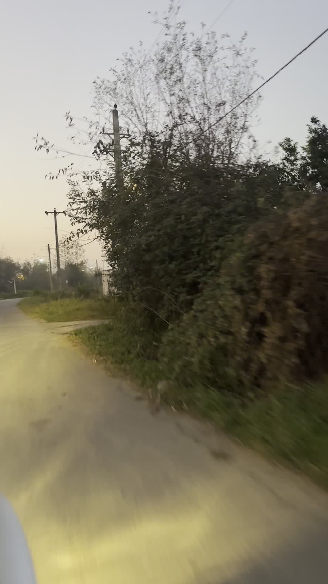 ۲۰۰ متر زمین مسکونی|فروش زمین و ملک کلنگی|رشت, یخسازی|دیوار