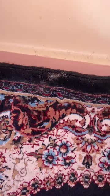 سمپاشی تخصصی تضمینی ساس سوسک مورچه بامجوز رسمی|خدمات نظافت|شهریار, |دیوار