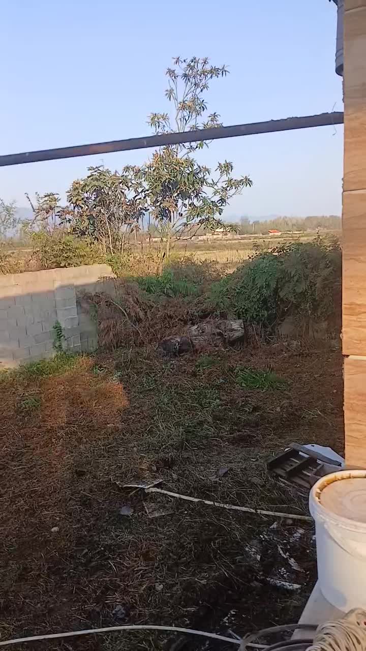 ویلا سالیانه روزانه نزدیک ماسال دنج و آرام|اجارهٔ خانه و ویلا|گوراب زرمیخ, |دیوار