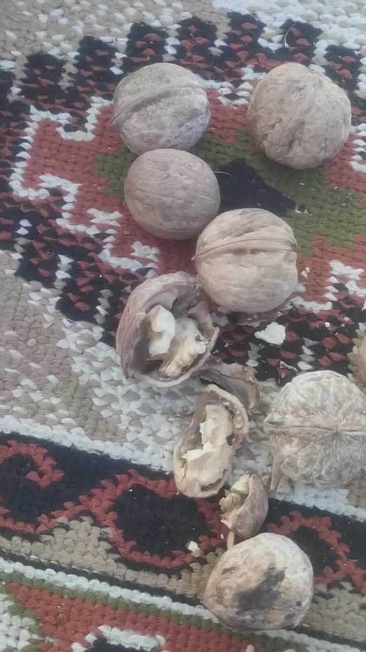 گردو|خوردنی و آشامیدنی|فریدونشهر, |دیوار