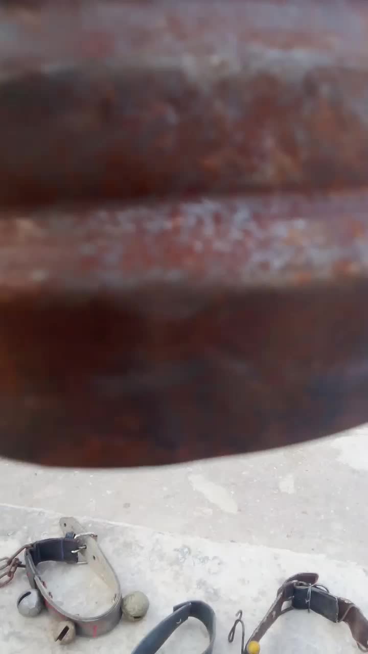 زنگ شتر وزنگوله بره ودوبور.|لوازم جانبی حیوانات|قم, سراجه (۱۵ خرداد)|دیوار