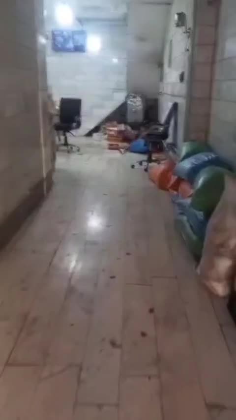 پخش کشمش حلوایی بیدانه مویز پلویی آفتابی فخری|خوردنی و آشامیدنی|هشتگرد, هشتگرد قدیم|دیوار