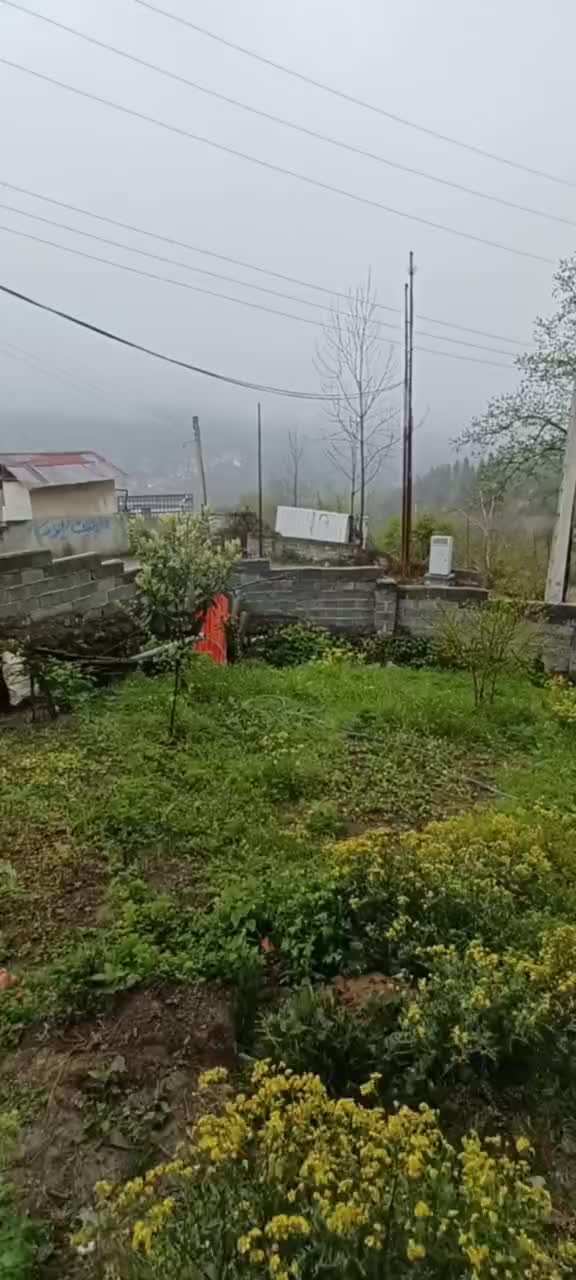 سوئیت ۳۰ متری ،لفور،مازندران|اجارهٔ کوتاهمدت آپارتمان و سوئیت|شیرگاه, |دیوار