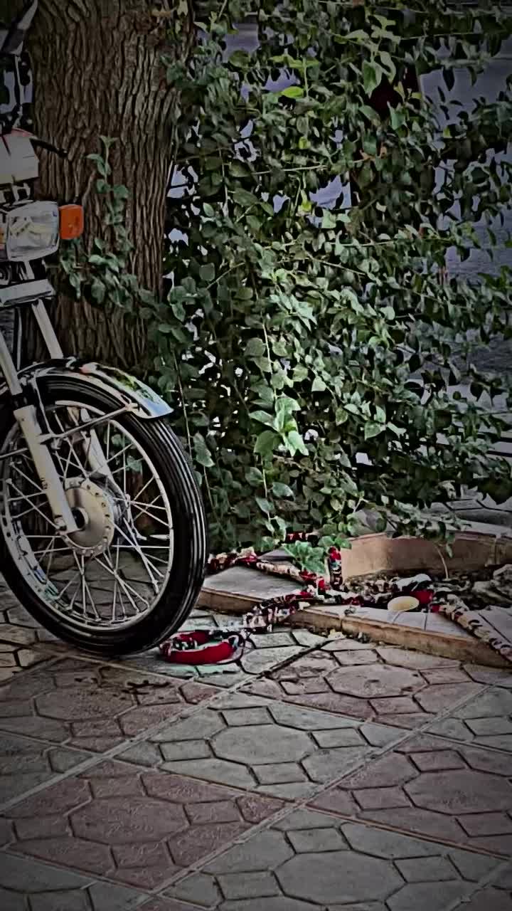 رهرو ۱۲۵ کلکسیونی|موتورسیکلت|خرمآباد, |دیوار