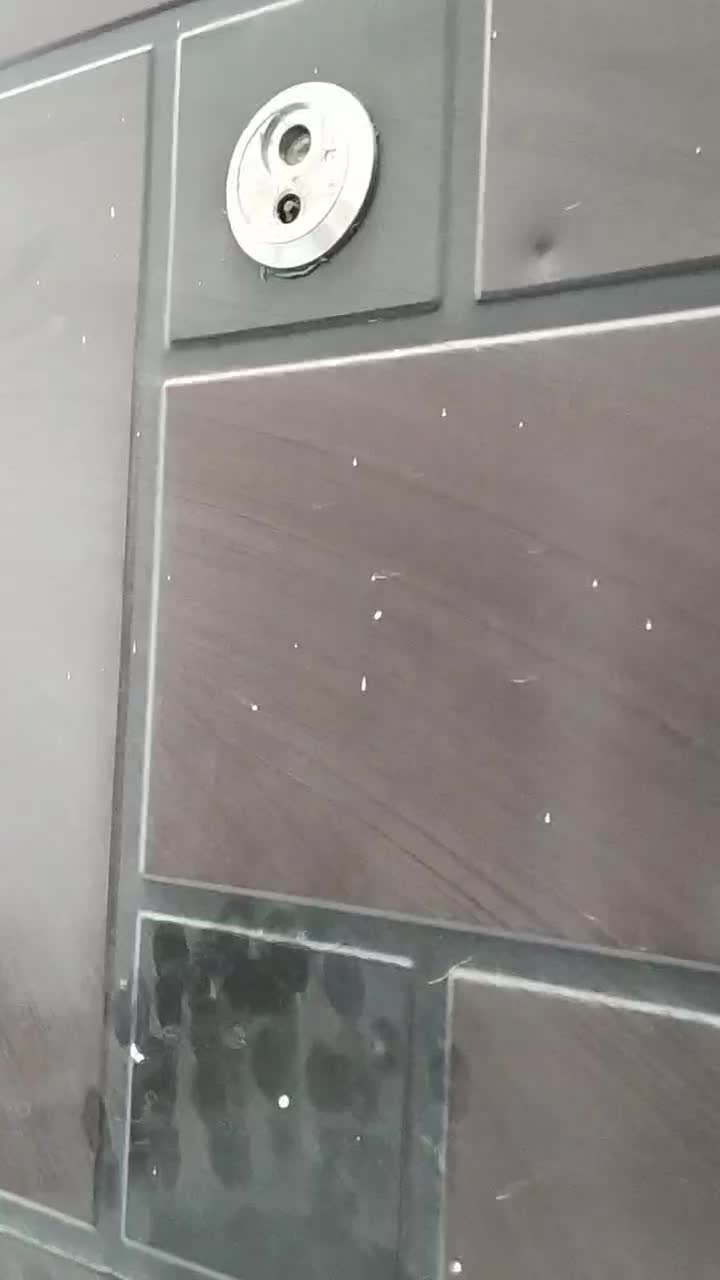 کناف سید|خدمات پیشه و مهارت|مشهد, ایثارگران|دیوار