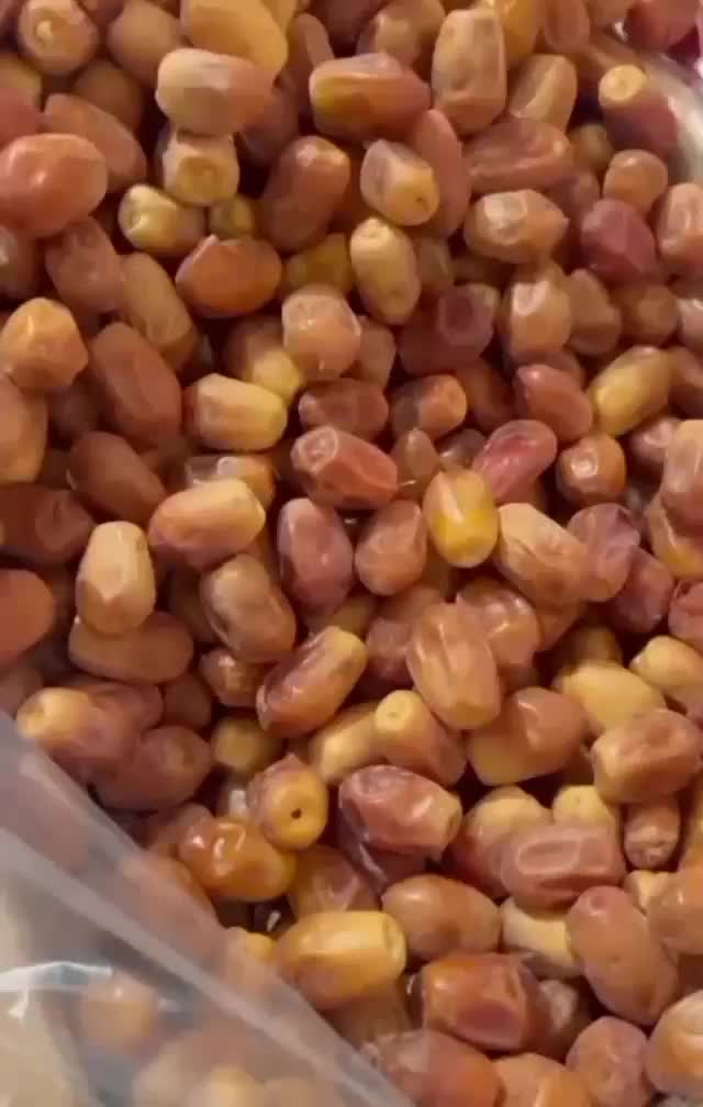 پخش خرمای زاهدی و انواع خرمای جنوب|خوردنی و آشامیدنی|اصفهان, فیض|دیوار