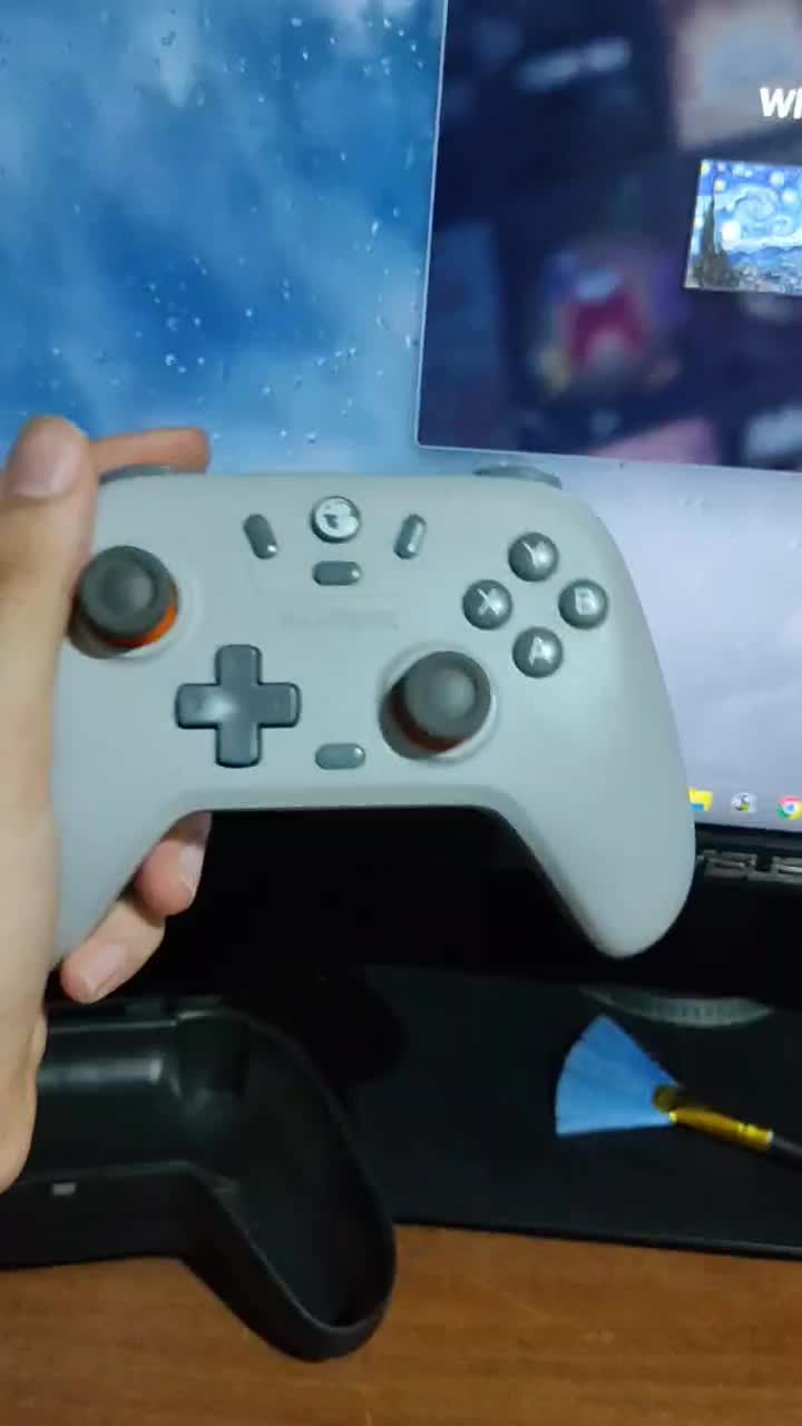 دسته Gamesir nova lite هال افکت|کنسول، بازی ویدئویی و آنلاین|مشهد, رضاشهر|دیوار