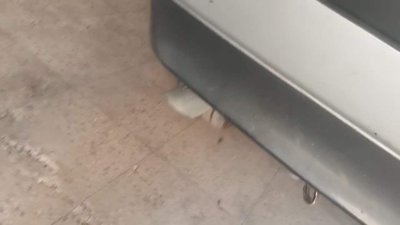 منبع 230بنزی|قطعات یدکی و لوازم جانبی|پاکدشت, حصار امیر|دیوار