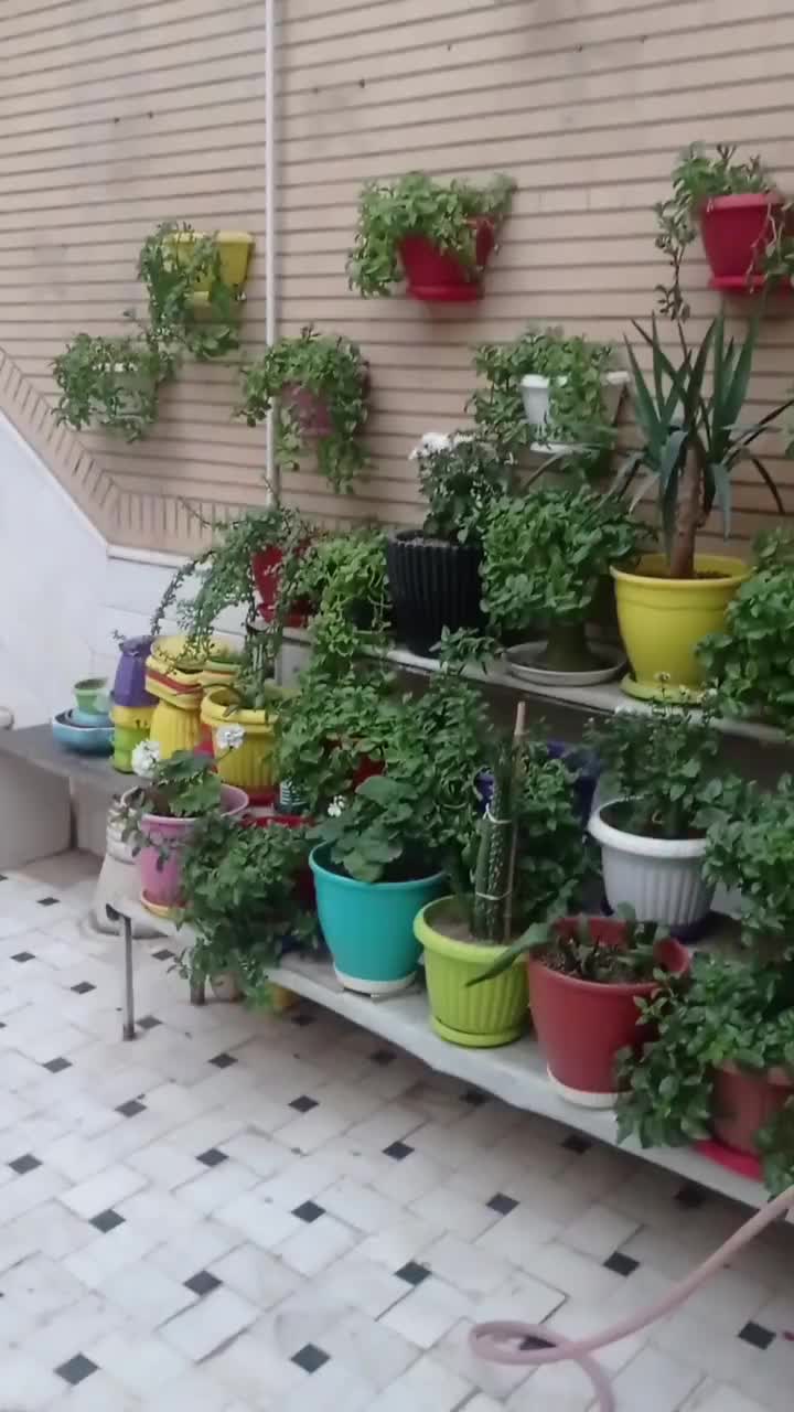 رهن و اجاره زیرزمین گلخونه راه جدا|اجارهٔ خانه و ویلا|قم, زنبیل آباد|دیوار