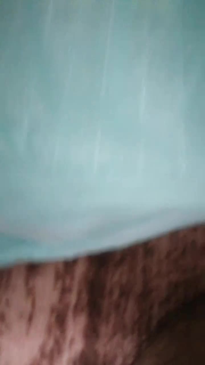 عروس سخنگو|پرنده|قرچک, مهدیه|دیوار