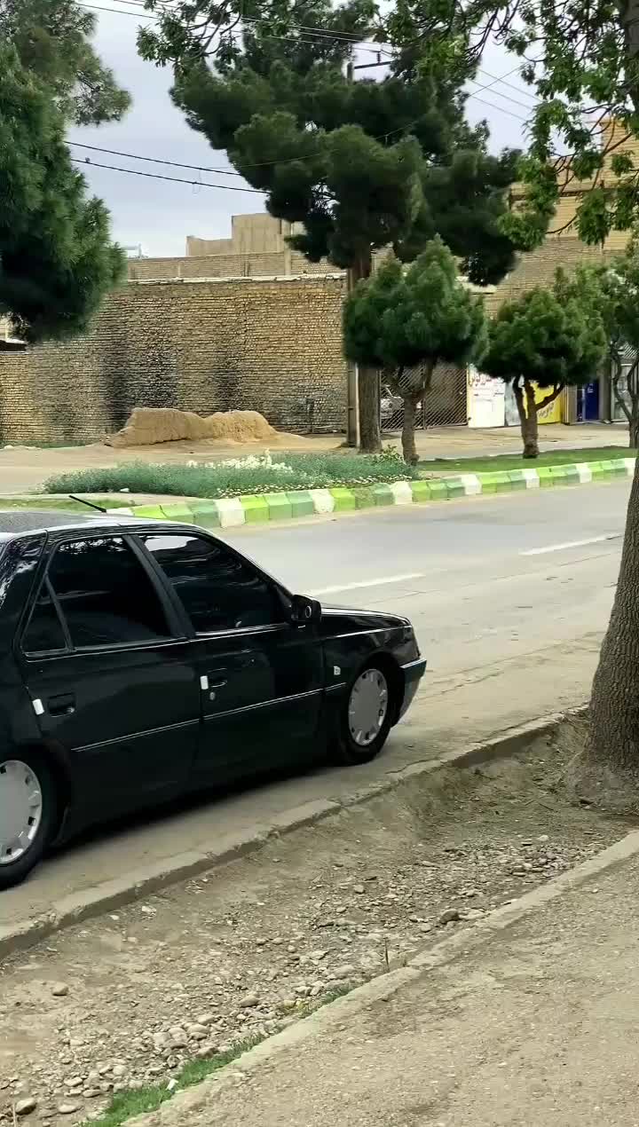 405 مدل 82|خودرو کلاسیک|اسفراین, |دیوار