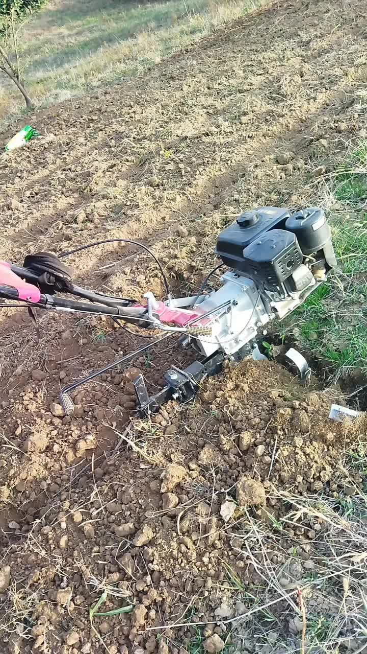 شخم زدن با تیلر کولتیواتور|خدمات باغبانی و درختکاری|مینودشت, |دیوار