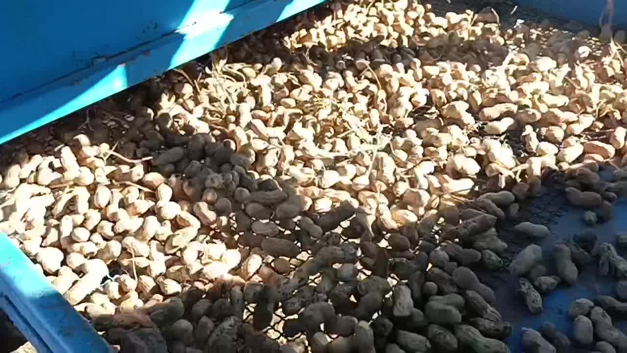 فروش تعویض خرمن‌کوب بادام زمینی  با وانت و سواری|ماشین‌آلات صنعتی|پارس‌آباد, |دیوار
