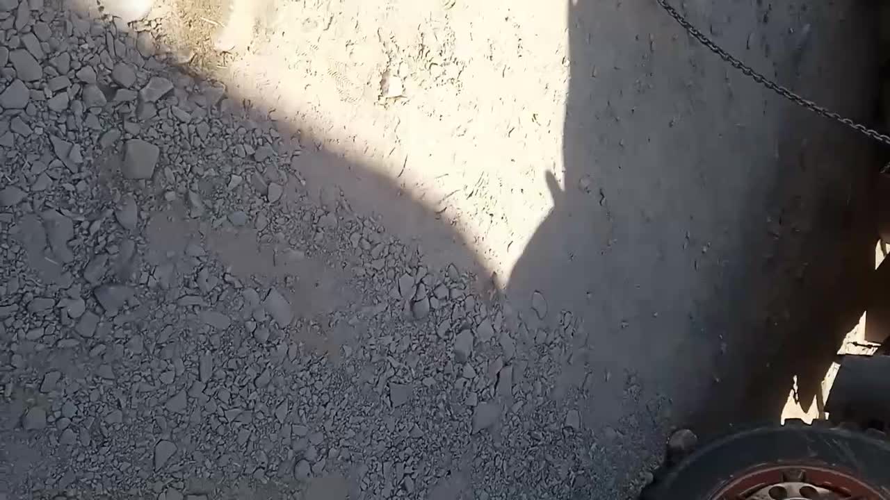 پیکان وانت CNG، مدل ۱۳۷۹|خودرو سواری و وانت|کاشمر, |دیوار