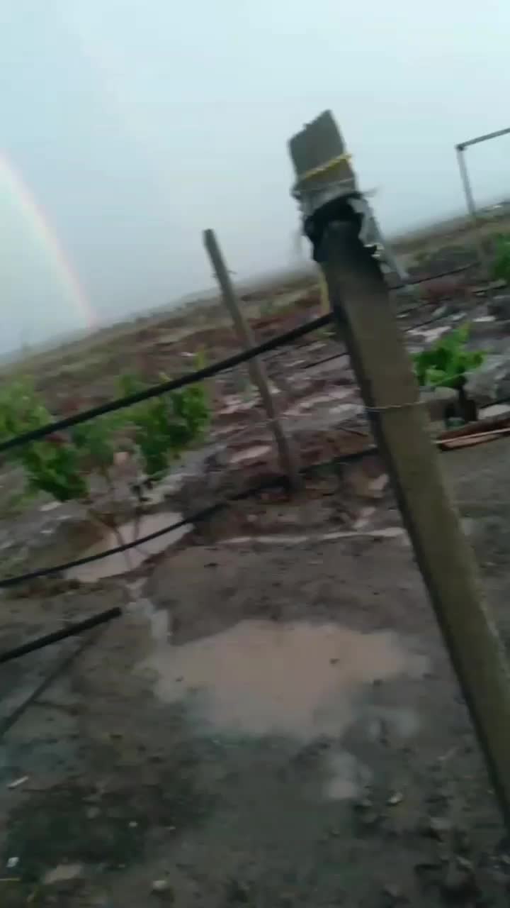 زمین فنس‌کشی ،محدوده کلاته سالار/۱۰۰متری شهرک ملی|فروش دفتر صنعتی، کشاورزی، تجاری|سبزوار, قصبه شرقی|دیوار