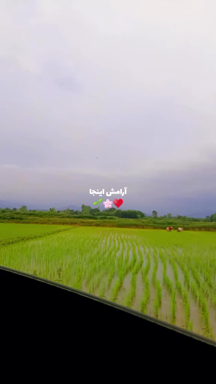 خانه باغ سنتی برای گذراندن اوقات در پاییز و زمستان|اجارهٔ کوتاه‌مدت ویلا و باغ|شفت, |دیوار