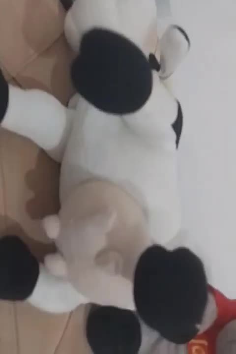 عروسک|اسباببازی بچه|ساوه, |دیوار