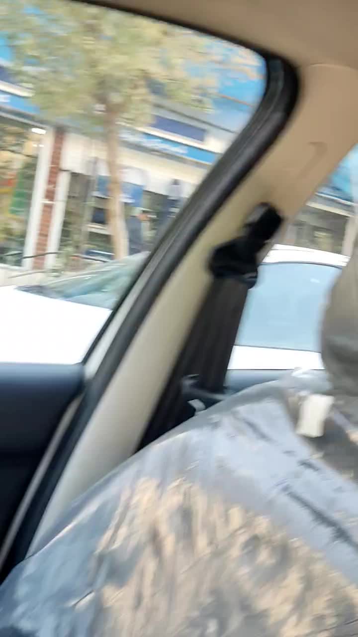 سگ‌خونگی‌‌پامراشپیتس|سگ|قدس, شهر‌قدس|دیوار