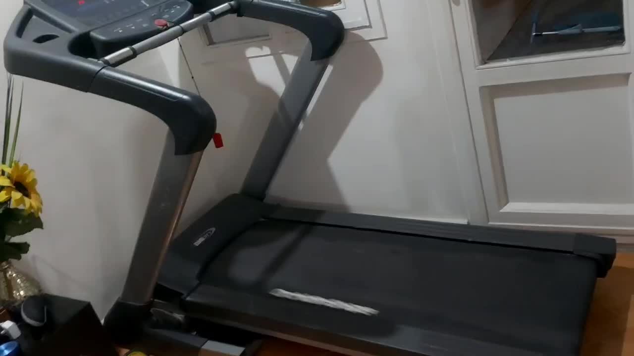 تردمیل دیک سیتی orchidinshape اصلی|تجهیزات ورزشی|کرج, فاز ۴ مهرشهر|دیوار