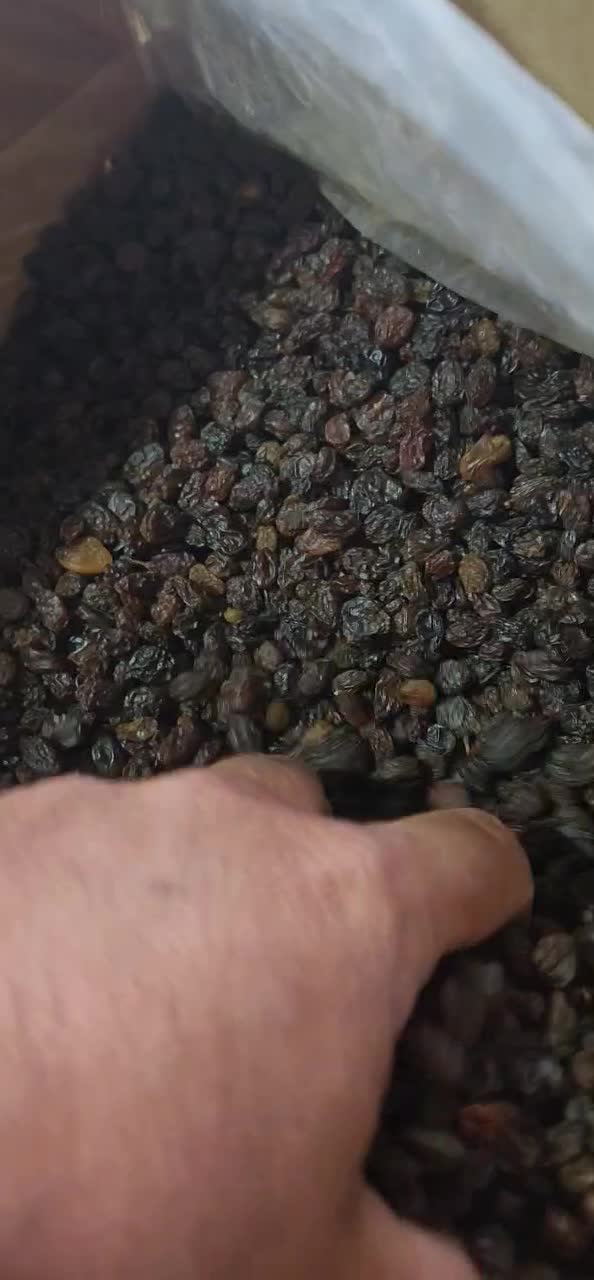 کشمش آفتابی پاک شده  کارتنی ۹ کیلویی|عمده‌فروشی|تاکستان, |دیوار