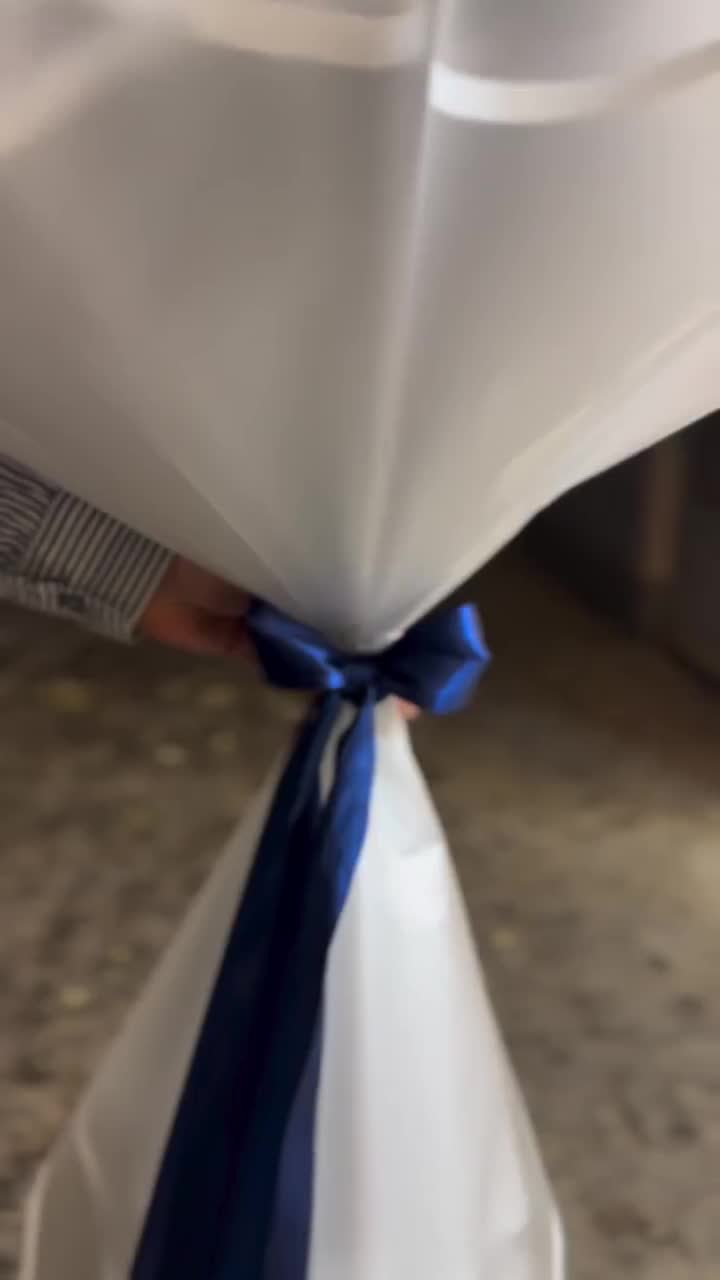 کادوی رز ربانی|گل مصنوعی|جیرفت, |دیوار