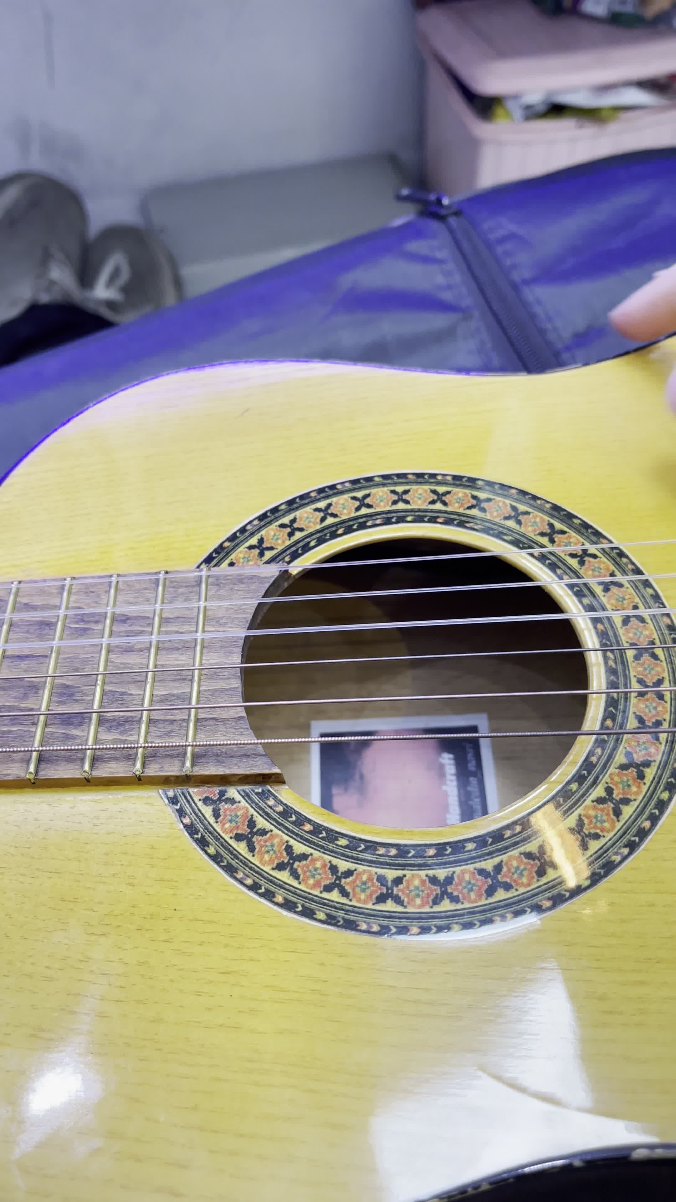 گیتار مدل رویال کلاسیک|گیتار، بیس، امپلیفایر|فردیس, فردیس|دیوار