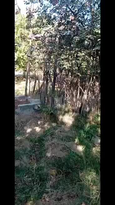 فروش باغ و ویلا|فروش خانه و ویلا|شیروان (لرستان), |دیوار