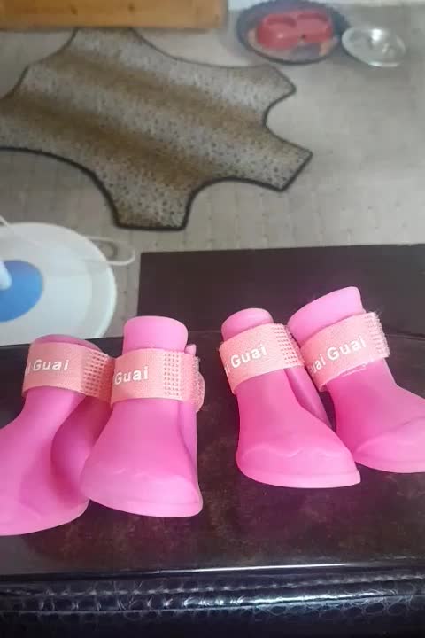 کفش سگ در حد نو|لوازم جانبی حیوانات|لاهیجان, رجایی|دیوار