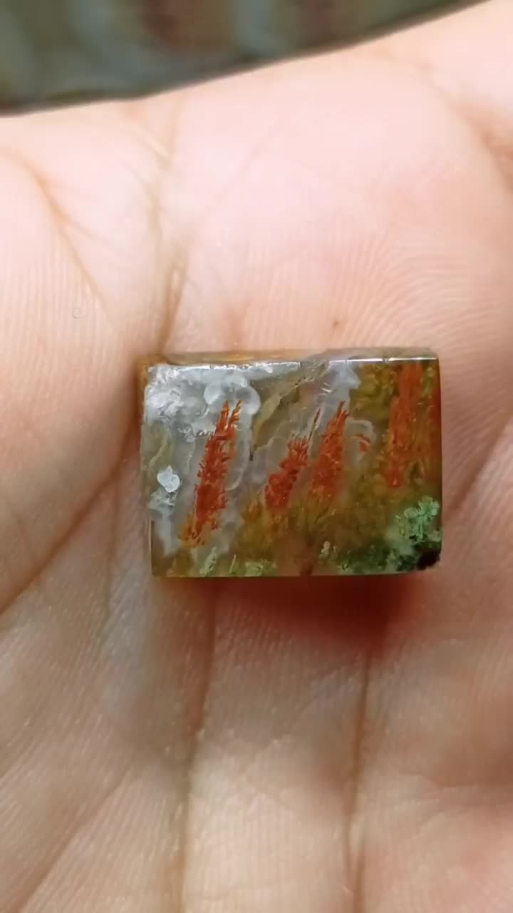 سنگ شجر|جواهرات|سرایان, |دیوار