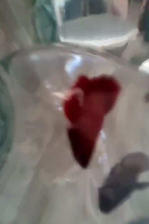 ماهی|ماهی|قم, زنبیل آباد|دیوار