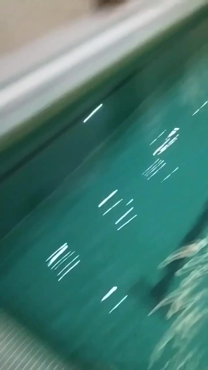 استخر سونا جکوزی سانس خصوصی|اجارهٔ کوتاهمدت ویلا و باغ|قم, ارم|دیوار