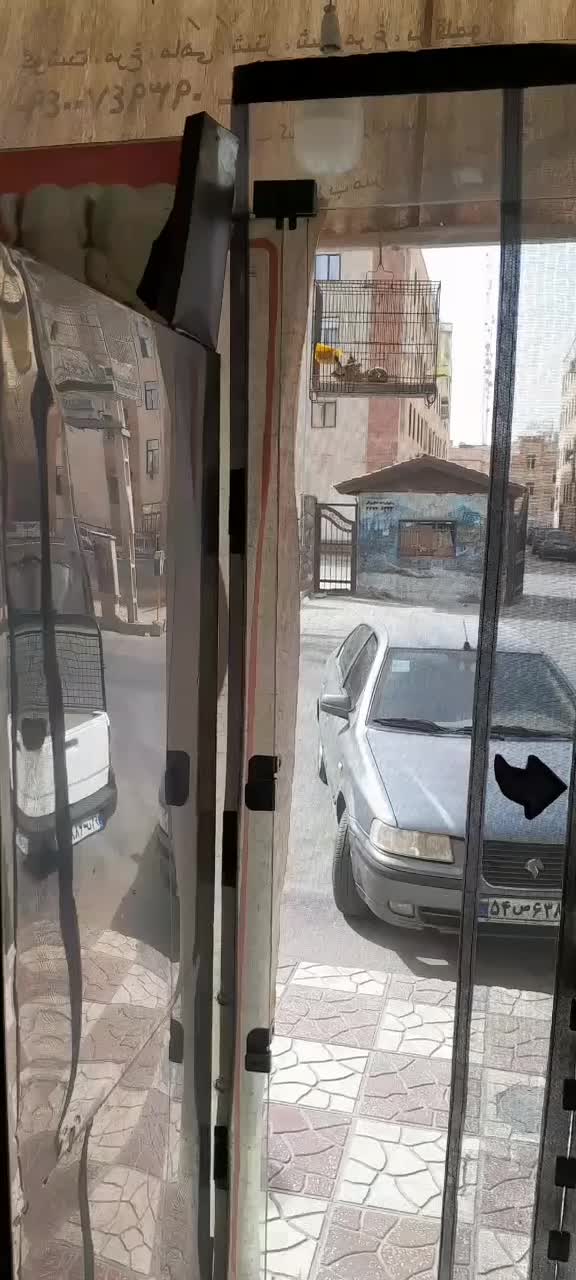 قناری هزار معاوظ با جفت گرینچیک ملنگو سهره خوب|پرنده|قرچک, مهدیه|دیوار