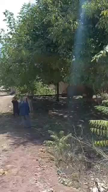 فروش زمین مسکونی با متراژ ۲۱۶متر|فروش زمین و ملک کلنگی|بره‌سر, |دیوار