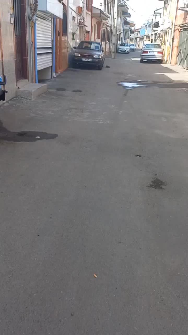 فروش آپارتمان ۸۰متری۱خواب جانبازان کوچه ۱۰ مرداد|فروش آپارتمان|رشت, جانبازان|دیوار