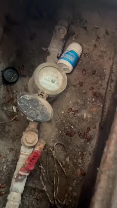 سمپاشی تخصصی محیط های حساس|خدمات نظافت|قزوین, |دیوار